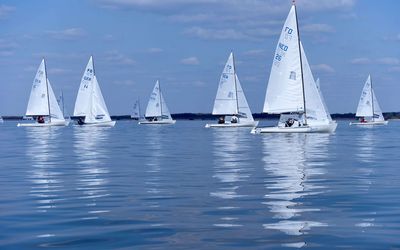 Segelboote auf dem Steinhuder Meer Eine Gruppe von Seglern fährt mit kleineren Segelbooten auf dem Steinhuder Meer entlang.
