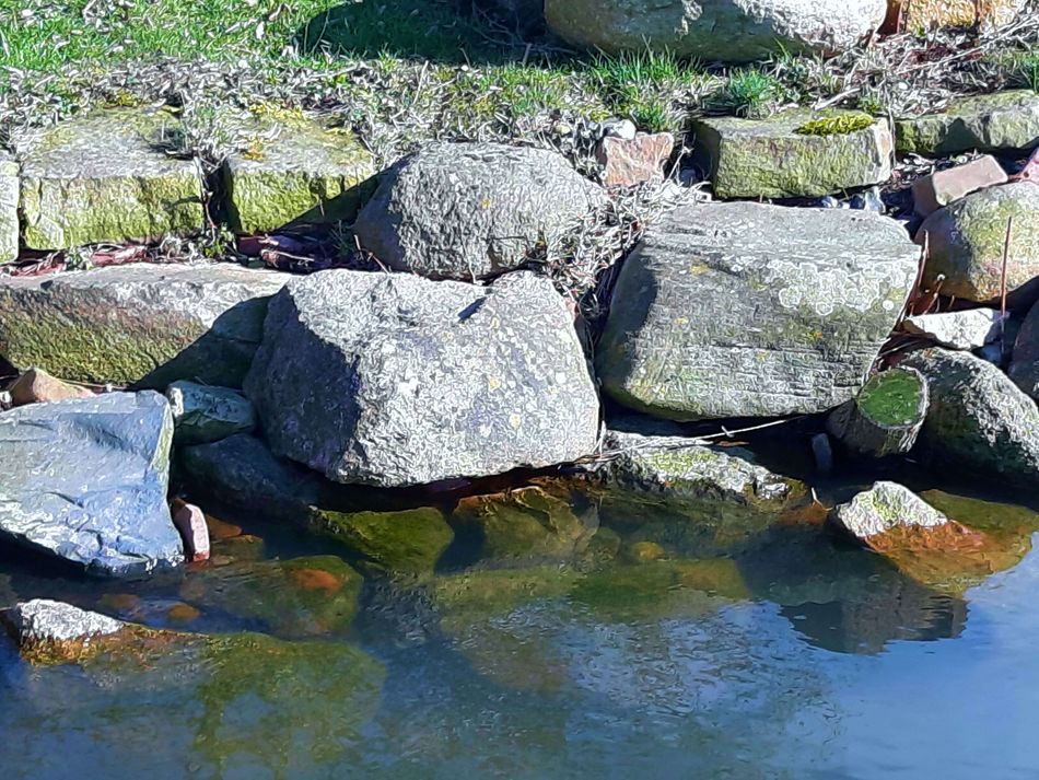 Steine in Steinhude Steine in Steinhude