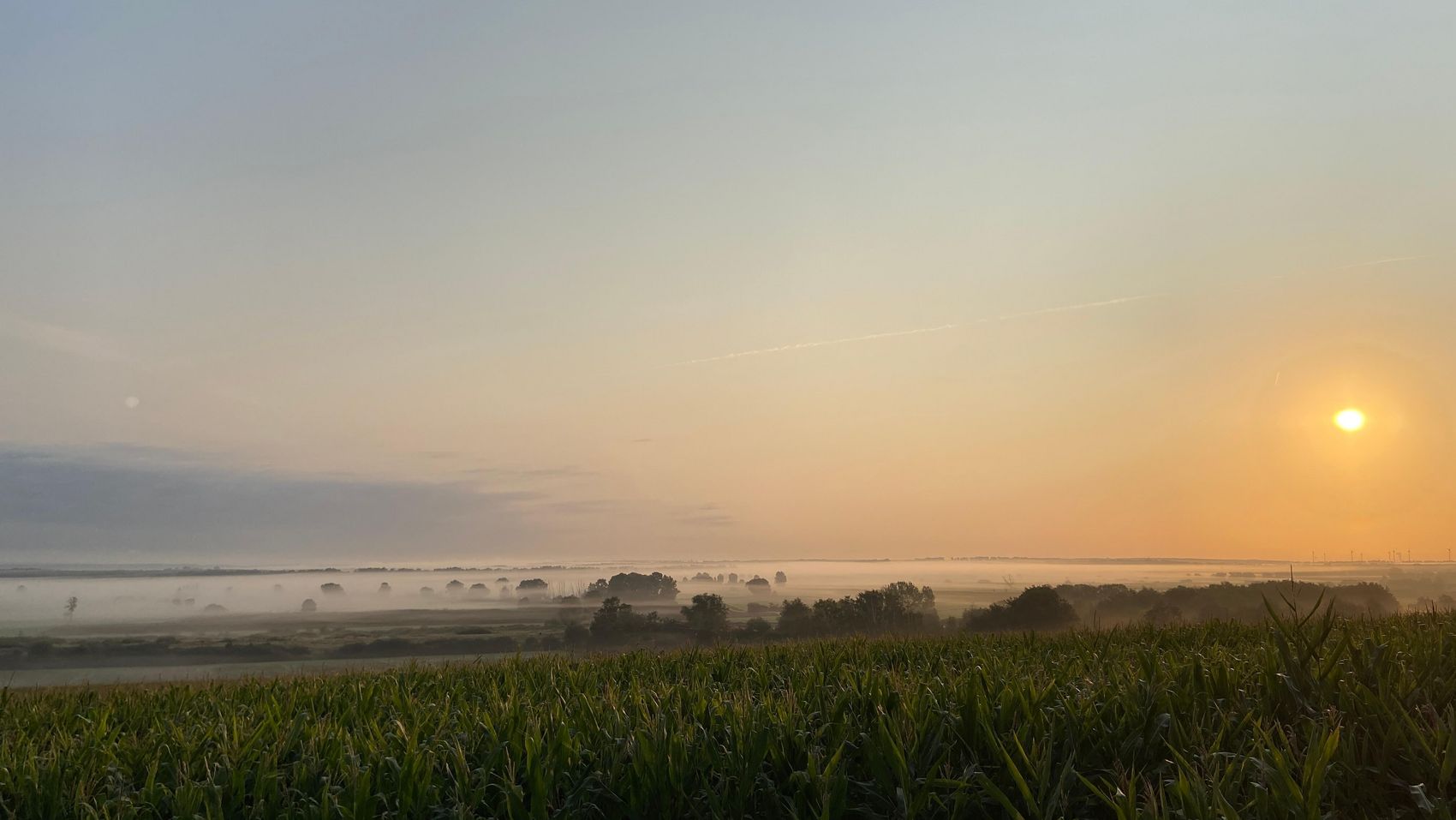 Aufsteigender Nebel am Westufer Aufsteigender Nebel am Westufer