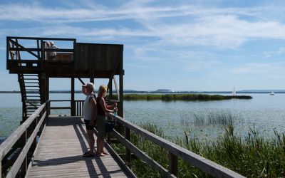 Aussichtsturm Neue Moorhütte Der Aussichtsturm an der neuen Moorhütte in Mardorf, ein Pärchen steht auf dem Steg zum Turm und schaut in unterschiedliche Richtungen über das Steinhuder Meer