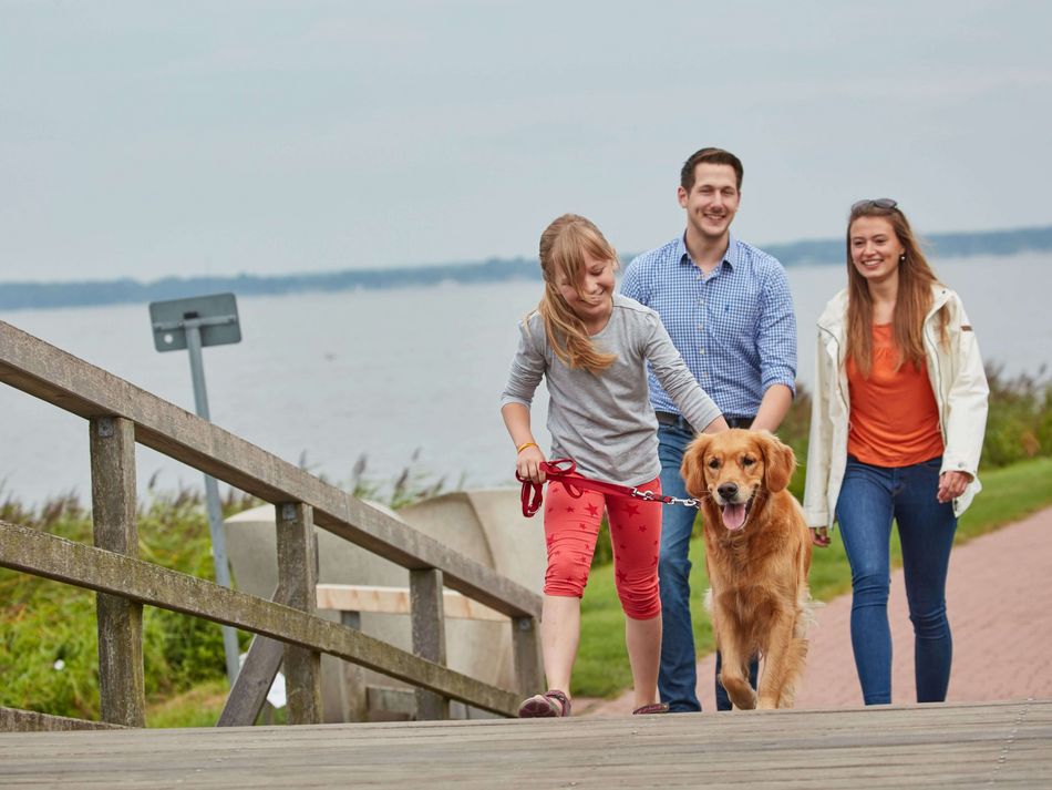 Familie Hund Promenade Eine Familie mit Hund auf der Promenade in Steinhude