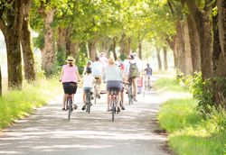 Eine Fahrradgruppe macht eine gemeinsame Radtour