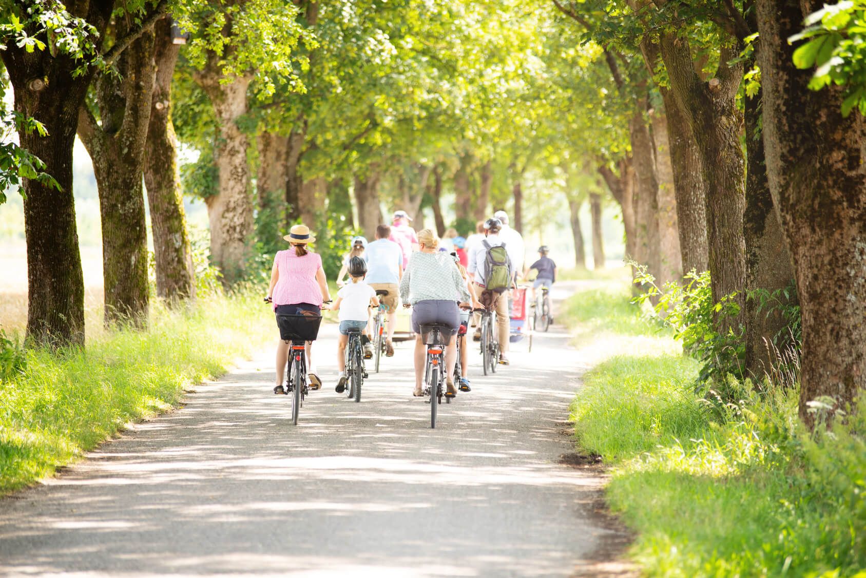 Fahrradgruppe auf einer Allee Eine Fahrradgruppe macht eine gemeinsame Radtour