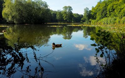 Backteich Kloster Loccum Der Backteich des Klosters in Loccum.