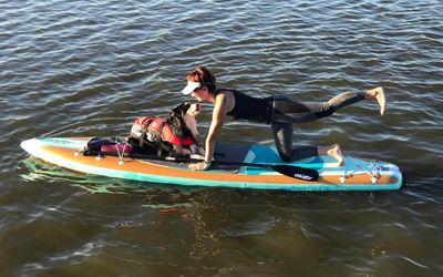 Hund auf SUP-Board Ein Hund begleitet sein Frauchen bei einer SUP-Tour auf dem Steinhuder Meer