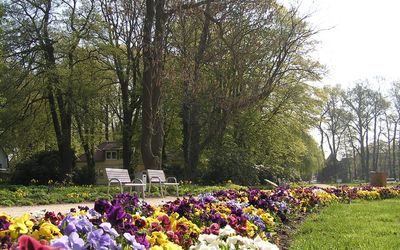 Park Steinhude Frühling Frühling im Park in Steinhude mit vielen bunten Blüten