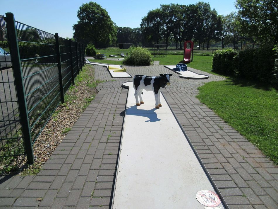 Minigolf Mardorf Der Minigolfplatz in Mardorf
