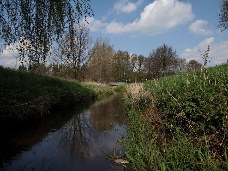 Ein Bach in Otternhagen Ein Bach in Otternhagen im Neustädter Land