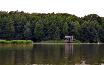 Aussichtsturm Neue Moorhütte Wasserseite Blick Richtung Ufer zum Aussichtsturm an der Neuen Moorhütte im Mardorf mit Schilf und Wald