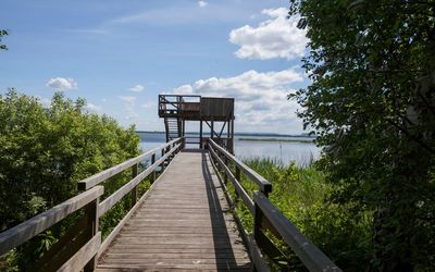 Aussichtsturm an der Moorhütte Der Blick geht über einen Steg zum Aussichtsturm an der Moorhütte in Mardorf