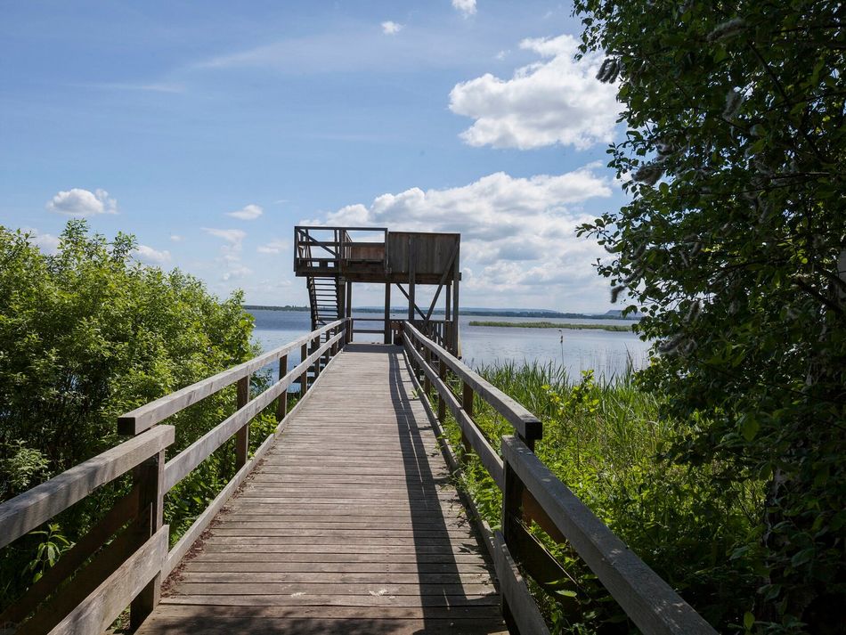 Aussichtsturm an der Moorhütte Der Blick geht über einen Steg zum Aussichtsturm an der Moorhütte in Mardorf