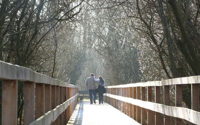 Steg zum Westturm Ein Pärchen geht Arm in Arm auf dem Steg vom Westturm durch eine frühlingshafte Vegetation