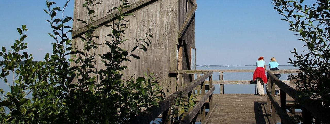 Aussichtsturm in Winzlar Zwei Personen stehen auf der Holzplattform neben dem Aussichtsturm am Steinhuder Meer bei Winzlar