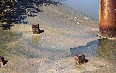 Blaualgenblüte Blaualgenblüte