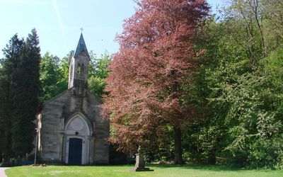 Die historische Friederikenkapelle in Bad Rehburg zwischen einigen Bäumen.