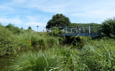Meerbachbrücke Rundweg Der Meerbach verlässt das Steinhuder Meer in Richtung Weser bei Rehburg und kreuzt eine Brücke auf dem Steinhuder Meer Rundweg