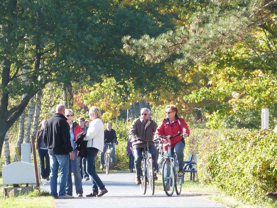 Radfahrer Mardorf Auf der Promenade in Mardorf fahren Radfahrer in spätsommerlicher Atmosphäre