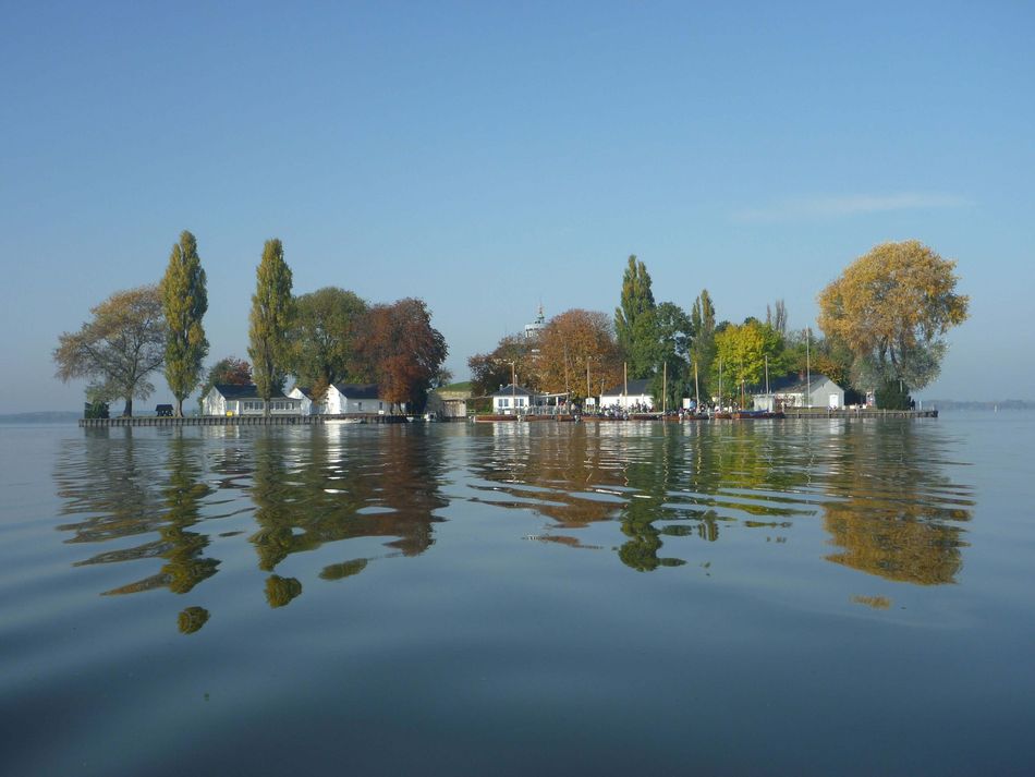 Insel Wilhelmstein Die Inselfestung Wilhelmstein spiegelt sich mit goldenem Herbstlaub im spiegelglatten Steinhuder Meer