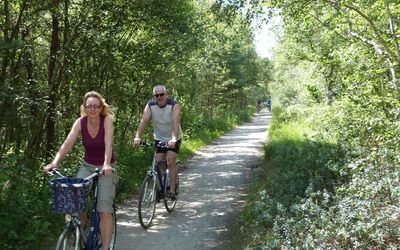 Radfahrer im Moor Ein Pärchen auf Rädern auf dem Steinhuder Meer Rundweg im Moor