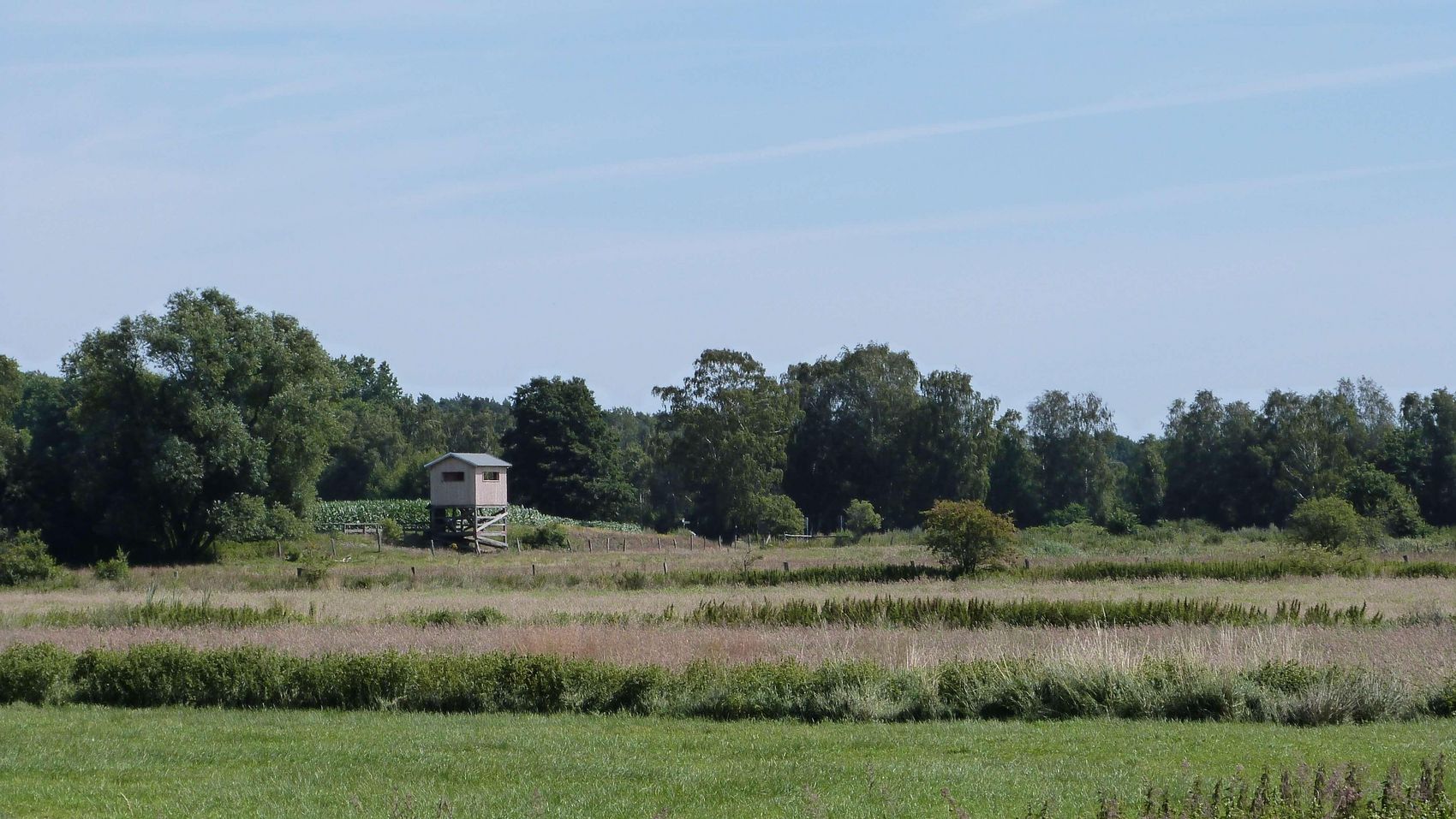 Aussichtsturm Meerbruch Über grüne Wiesen geht der Blick zum Aussichtsturm im Meerbruch