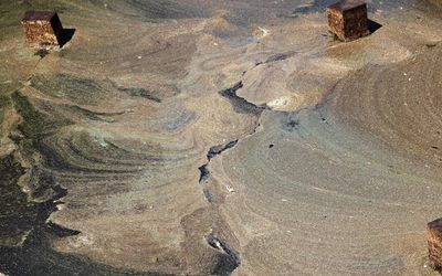 Blaualgen Aufrahmung Blaualgen Aufrahmung