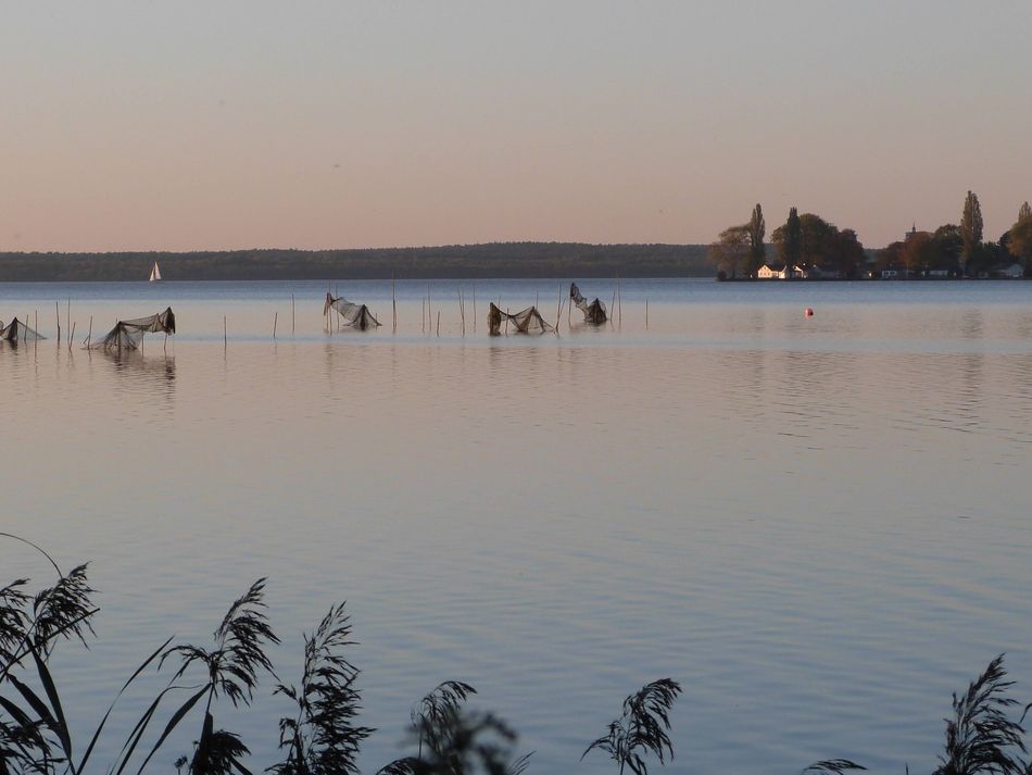 Wilhelmstein am Abend Blick von der Westpromenade zum Wilhelmstein am Abend mit Fischreusen im Vordergrund
