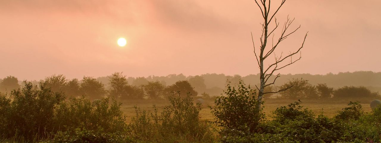 Sonnenaufgang Meerbruch Eine rote Sonne geht über dem leicht nebeligen Meerbruch auf