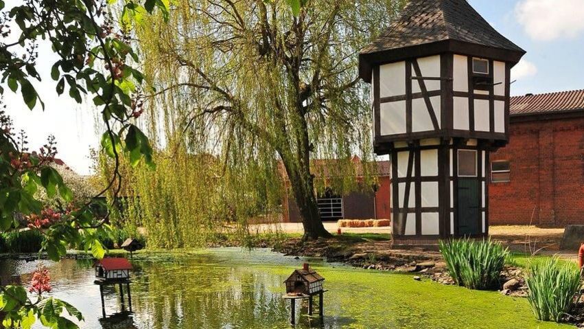 Gutmönchof Teich in Kolenfeld Der Gutmönchof Teich in Kolenfeld. Im Hintergrund ist ein kleiner Turm im Fachwerkstil zu sehen.