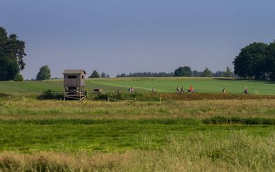 Weniger Entdeckte Orte rund ums Steinhuder Meer Das Bild zeigt eine Radfahrergruppe in den Wiesen. Auch ein Turm zur Vogelbeobachtung ist zu sehen.