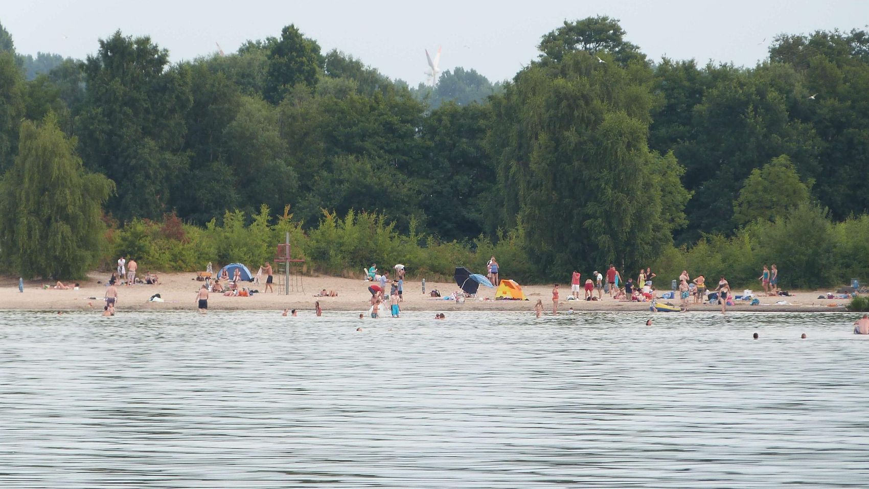 Badeinsel Steinhude Die Badeinsel Steinhude vom Wasser aus gesehen mit vielen Besuchern am Strand und im Wasser